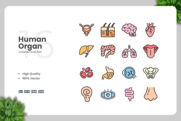 Human Organ Colored Icons: A Designer's Review