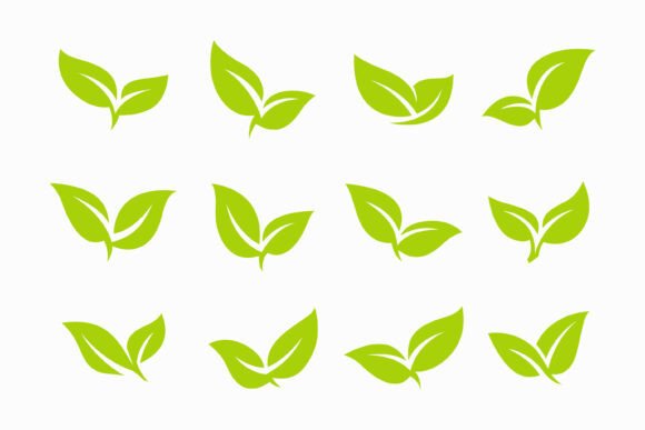 Set of Green Leaf Icons Eco Friendly Graphics and Logo Templates